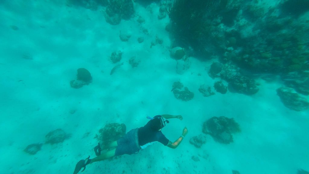 Dive sites in Belize-Drift Inn Belize